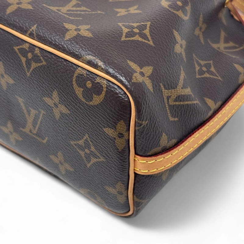 Louis Vuitton Monogram Nano Noe